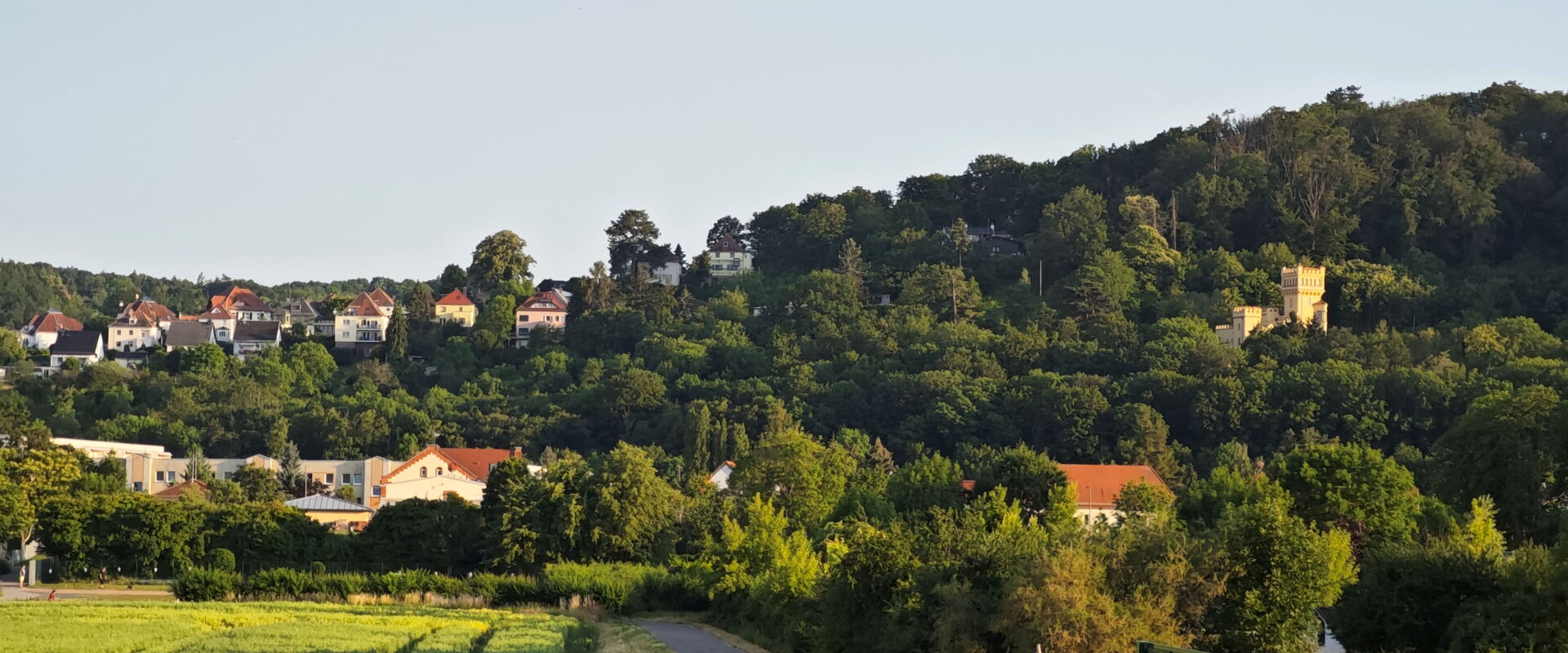 Blick vom Elberadweg auf Hegereiter und das Gelbe Schlösschen