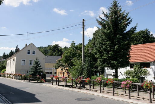 Blumen am Lotzebach an der Talstraße in Cossebaude
