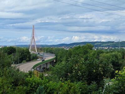 Blick auf die Schrägseilbrücke in Niederwartha | Die Brücke ist umgeben von vielen grünen Bäumen. Im Hintergrund: Hänge von Radebeul und Coswig.