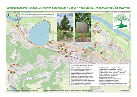 Jahrgangsbäume in den Ortschaften Cossebaude, Gohlis, Neuleuteritz, Niederwartha, Oberwartha