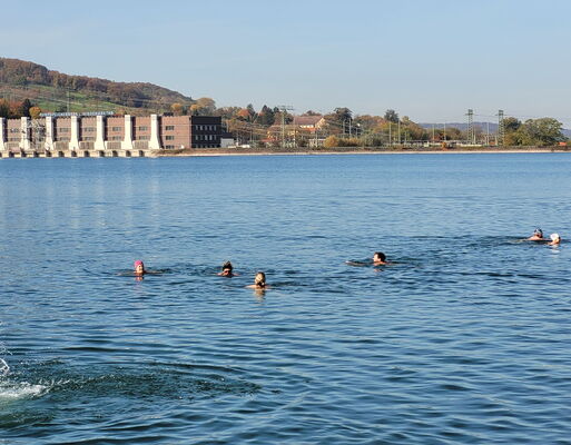 Winterschwimmen im Stauseebad Cossebaude