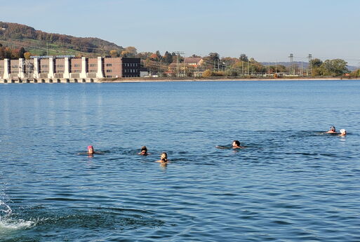 Herbstschwimmen im Stauseebad Cossebaude
